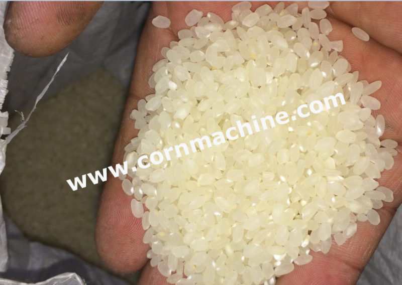 Rice Mill Plant Price Rice Mill Plant Price