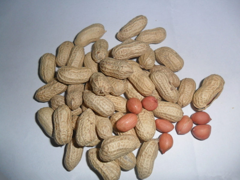 Groundnut Shelling Machine Groundnut Shelling Machine