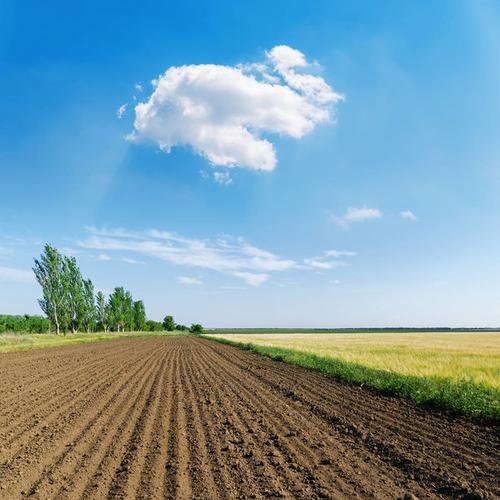 Well Prepared Fields
