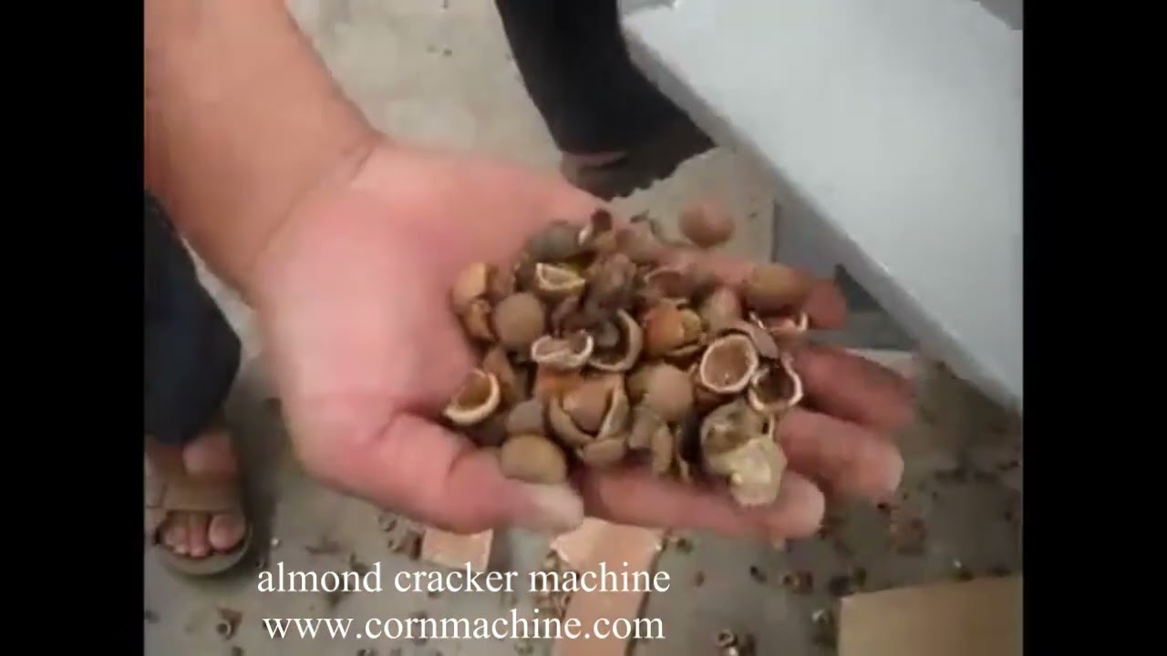 almond cracker machine for sale with best price