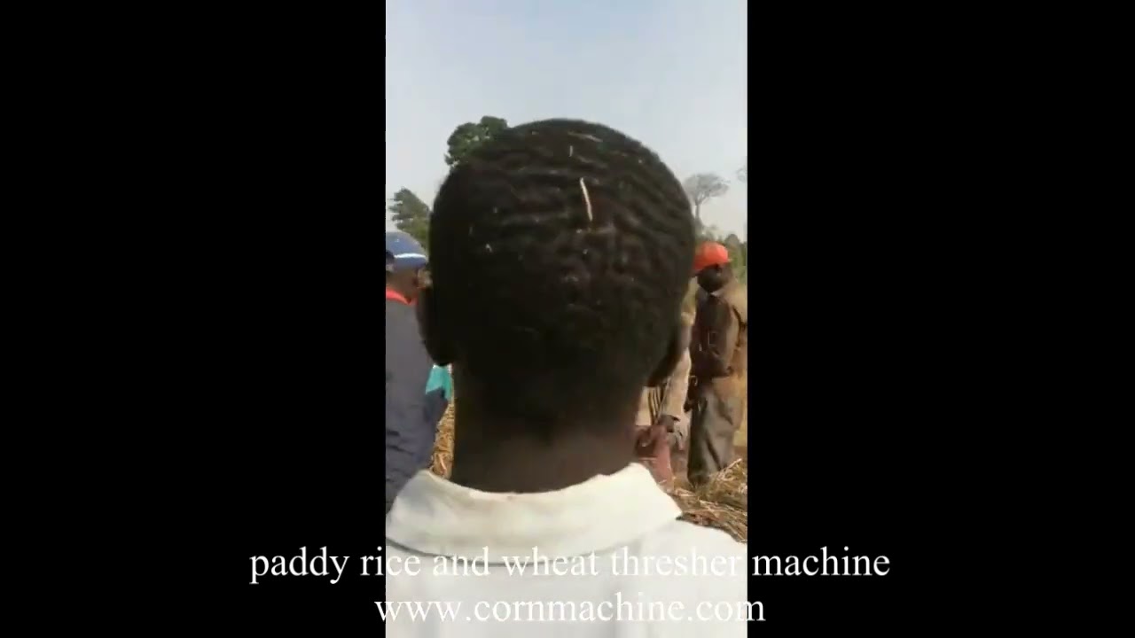 paddy rice and wheat thresher machine for sale with low price diesel engine power