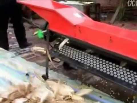 good quality Corn peeling machine with shucking skins very purely
