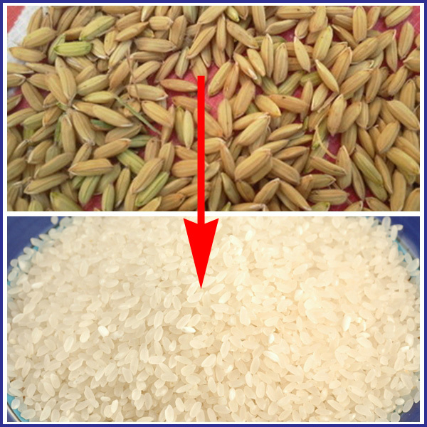 paddy rice mill machine in Nigeria