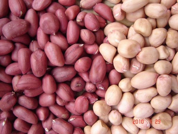groundnut sheller machine