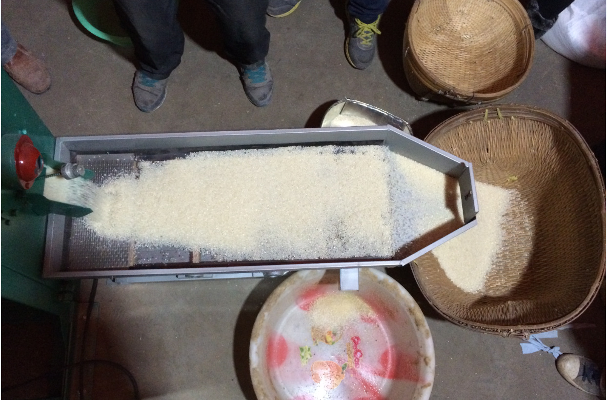 rice production plant