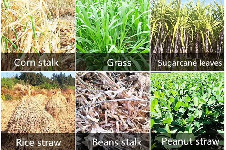 forage cutting machine supplier