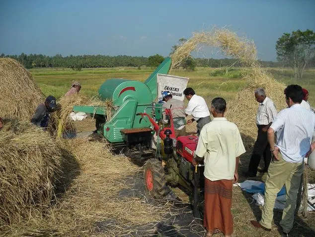 millet thresher machine price