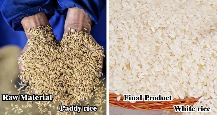 rice milling machine price philippines