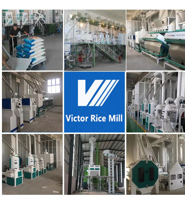 rice milling machine price philippines
